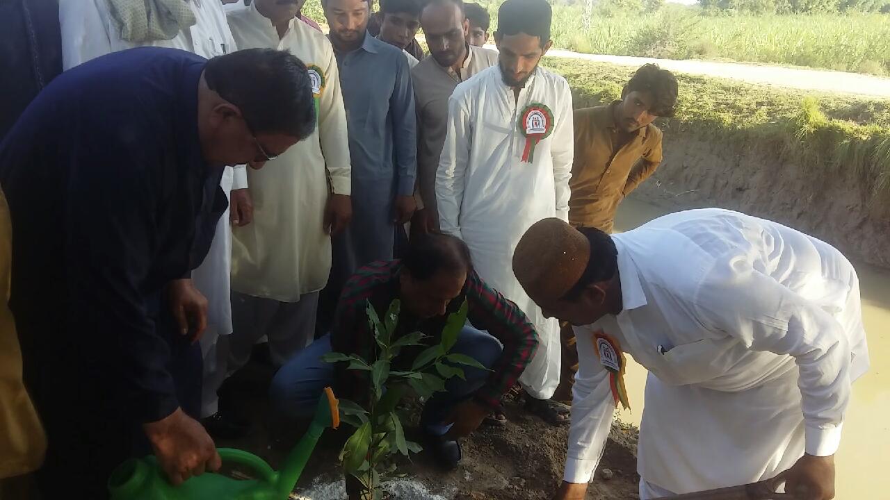 ايس ڊي ايم پاران وڻڪاري مهم جو افتتاح، 1000 چڪين جو اعلان