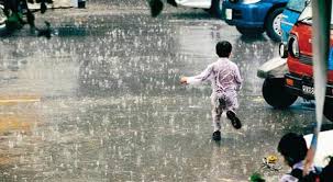 سنڌ ۽ بلوچستان ۾ برسات ۽ وڄ ڪرڻ سبب 11 زخمي