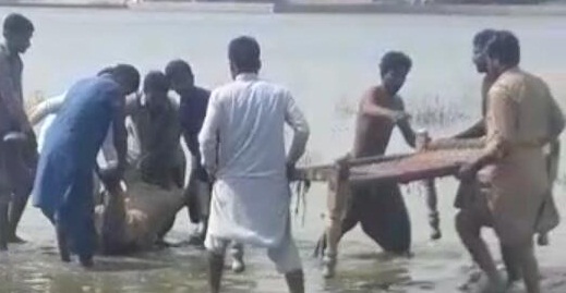 2 ڏينهن اڳ گم ٿيل نوجوان جو لاش مڇي فارم مان هٿ