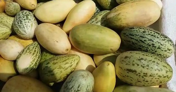 وسڪاري بعد ٿر جون ڀاڄيون مارڪيٽ پهچي ويون، ماروئڙا خوش