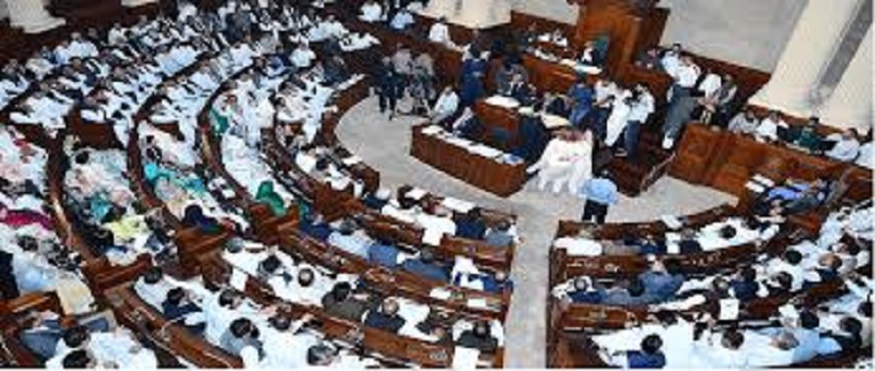 پنجاب اسمبلي ۾ حريم زاده جي نعرن جي گونج، هل هنگامو