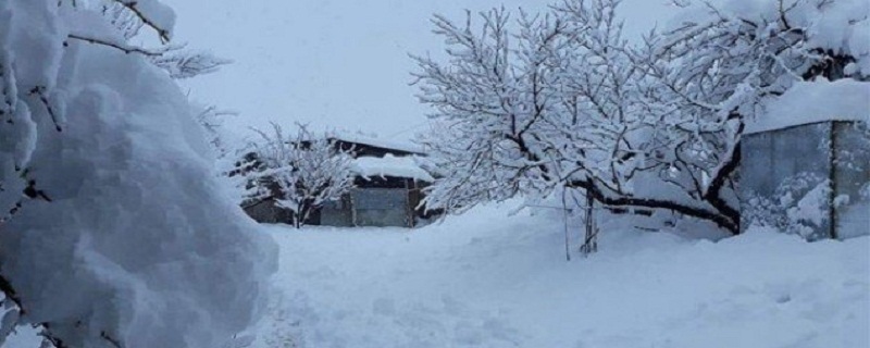بلوچستان ۾ برساتن ۽ برفباري تباهي مچائي ڇڏي، 15 ڄڻا فوت