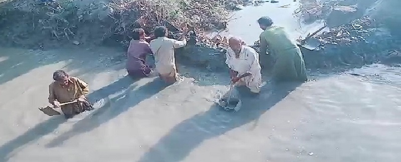 وساڻ مائنر کي گهارو، ڪڻڪ جو تيار فصل ٻڏي ويو