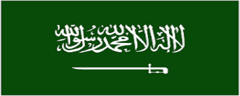 سعودي جنگي جهاز تباهه، حوثي باغين پاران ذميواري قبول