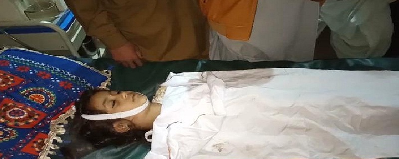 انڊس هاءِ وي تي حادثو، ڪار جي ٽڪر ۾ نينگري فوت