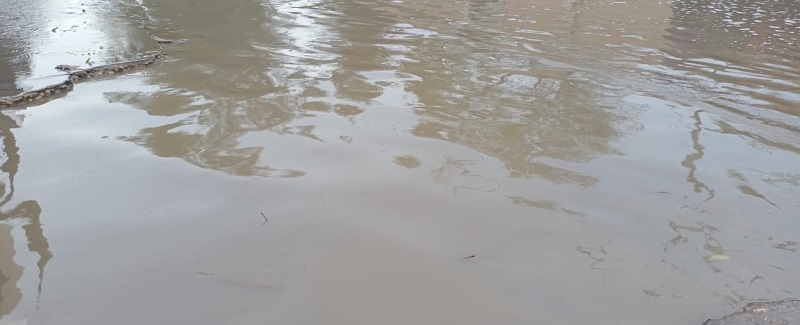 سنڌ ۾ بهار جو پهريون ڳڙي سان وسڪارو،  بجلي بند