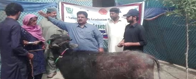 سرسو پاران غريبن ۾ چوپايو مال ۽ راشن تقسيم
