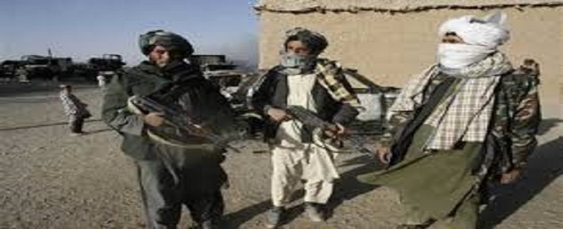 افغانستان جي 30 ضلعن تي طالبن جو قبضو، پينٽاگون پريشان