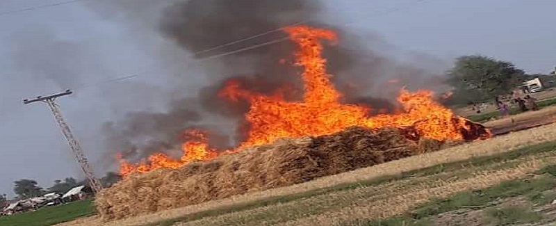 جهڏو ۽ سانگهڙ ۾ ديرن کي باهه 600 مڻ ڪڻڪ رک