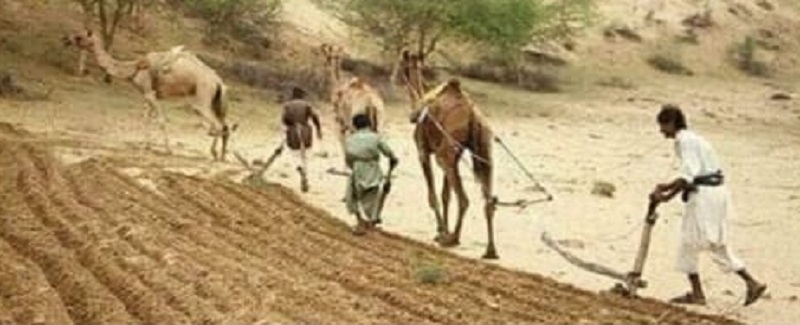 قلعو کوليو، سياح مايوس، بارش سبب ٿرين جا ڀاڳ جاڳي پيا
