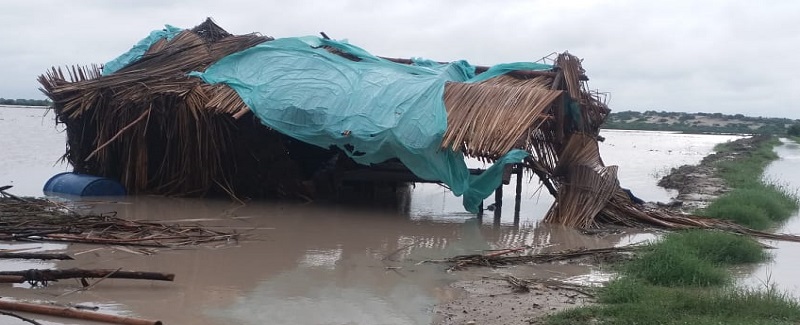 پنجاب ۾ 14 ۽ سنڌ ۾ 15 جولاءِ کان مون سون جي برسات