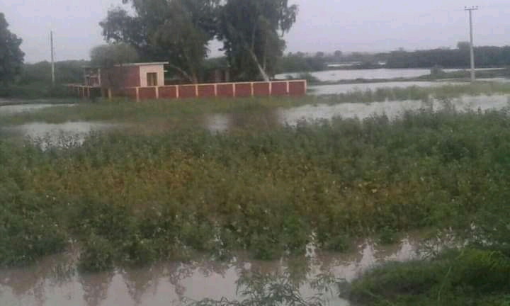 بدين ضلعي جا اڪثر اسڪول پاڻي ۾ ٻڏل، انتطاميه غائب