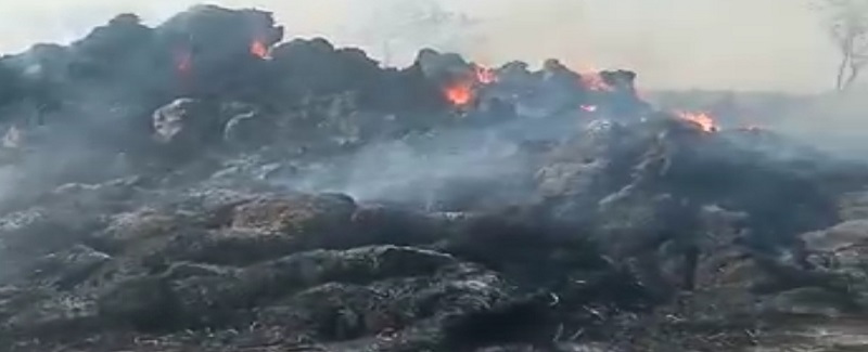 سارين جي ديري ۽ بيٺل فصل کي باهه، زميندار پريشان