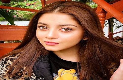 سوشل ميڊيا صارفين عليزي شاهه کي صنم چوڌري سان ڀيٽي ڇڏيو