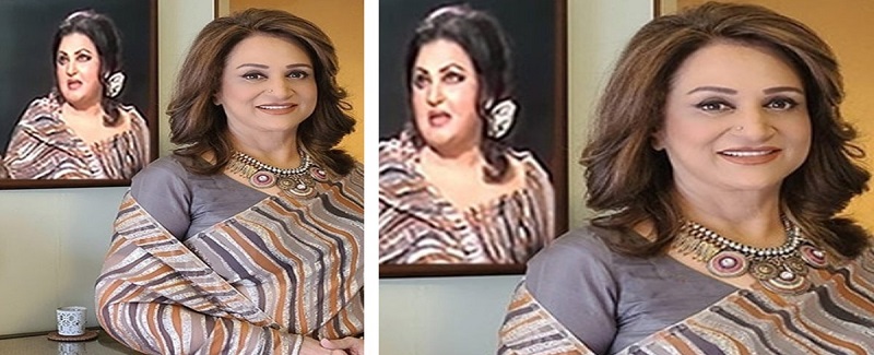 نور جهان جي ساڙهي پائڻ خوش قسمتي آهي،بشرا انصاري