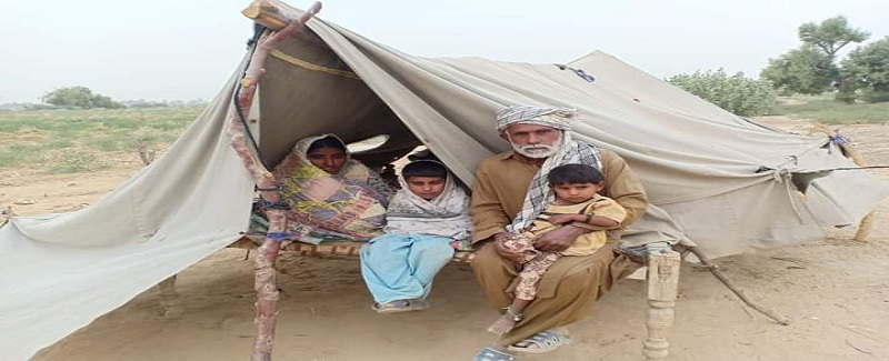 ڪاڇي جي ٻوڏ متاثرن جي حڪومت کي واهر جي اپيل