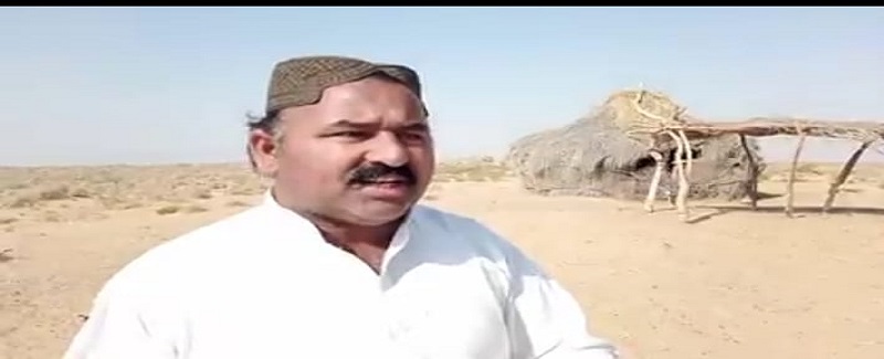 وائلڊ لائيف کاتي جو زيادتيون ماروئڙا ريگستان ڇڏڻ تي مجبور