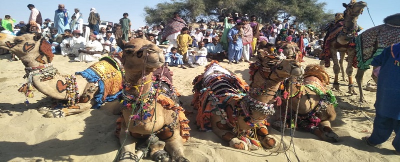 هوتو فقير جي ميلي ۾ اٺن جي ڊوڙ ۽ ثقافتي ميلو مچايو ويو