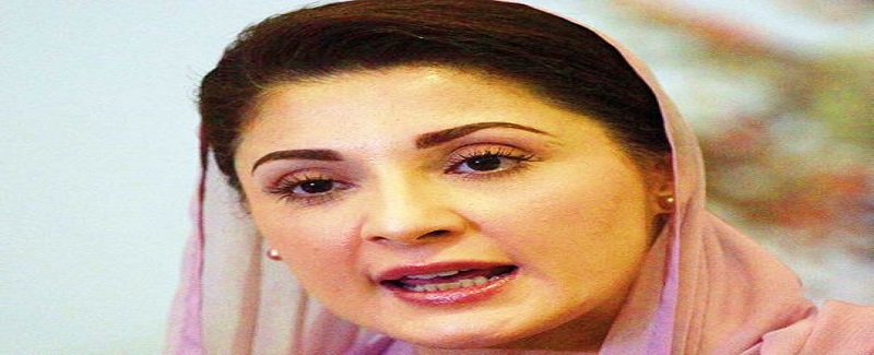 شهباز شريف جو ڏوهه نوازشريف سان وفاداري جو آهي،مريم نواز