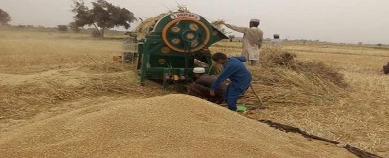 خريداري سينٽر نه کليا، آبادگار ڪڻڪ وڪڻڻ لاءِپريشان