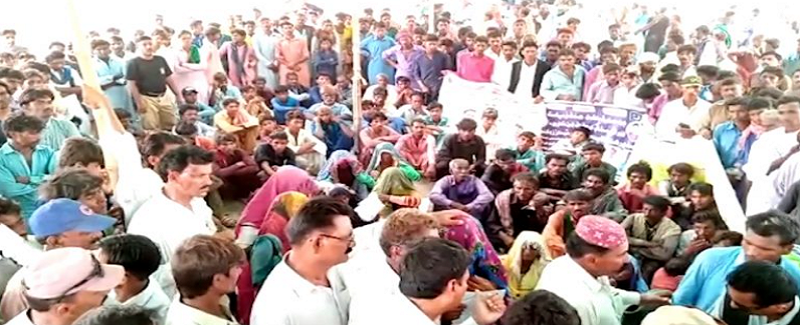 ڀيڻ جي لڄ بچائيندي قتل ٿيندڙ جي خون سان انصاف ڪريو