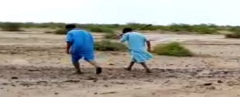 “ليلا جا آتڻ” برسات بعد ماڻهو نوادرات ميڙڻ لڳا