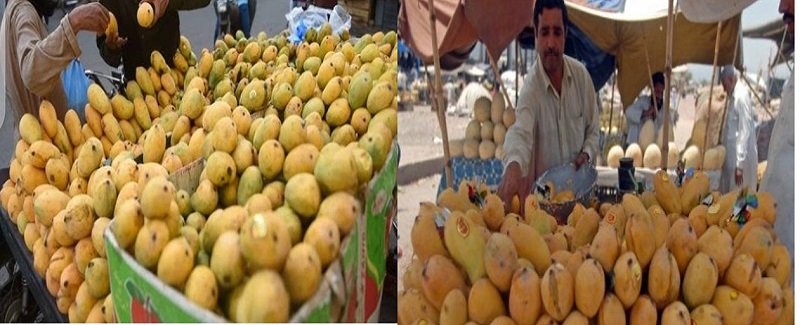 انب وڏي پيماني تي مارڪيٽ ۾ اچي ويو