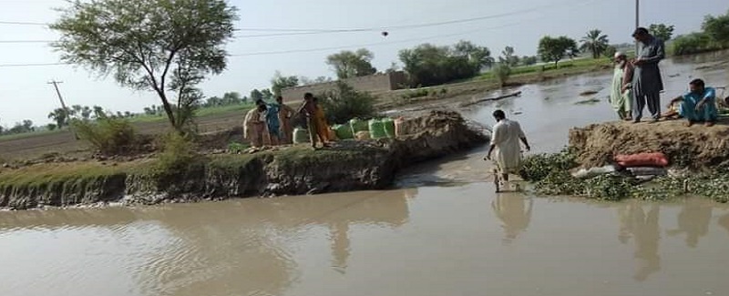 دلوارو مائنر کي گهارو، سوين ايڪڙ فصل پاڻي هيٺ
