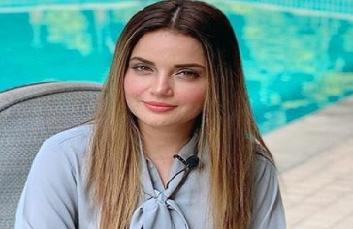 مسلمانن لاءِ اسلامو فوبيا سڀ کان وڏو خطرو آهي،ارمينا خان