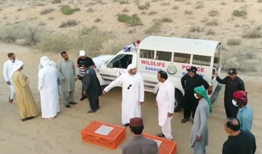 سنڌ ۽ پنجاب جي ريگستاني علائقن ۾ 1500 تلور آزاد
