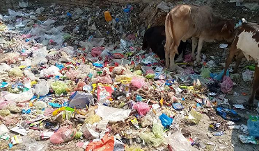 ڊرينيج جو نظام تباهه، جعلي ملازمن جي ڀرتي، پگهار هضم