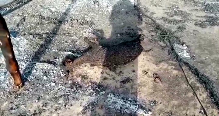دريا خان ۾ گهر کي بجلي جي شارٽ سرڪٽ مان باھ