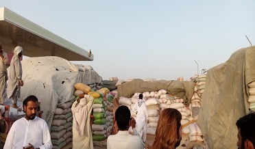 اختيارين جي گدامن تي ڇاپو،هزارين مڻ ڪڻڪ هٿ
