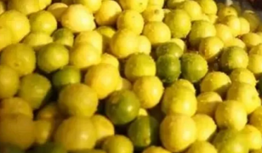 رمضان ويو پر مهانگائي نه گهٽي، ليما هزار روپيا ڪلو