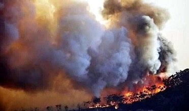 خيبرپختونخواهه جي ٻيلي ۾ باهه لڳڻ سبب 4 ڄڻا فوت