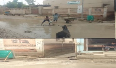 ٽائون ڪميٽي آفيسرن جي من ماني،ننڊا ملازم دربدر