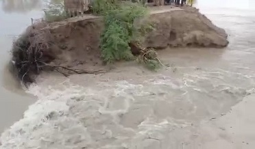 قاضي واھ کي 100 فوٽ گهارو، پوکيل فصل پاڻي هيٺ