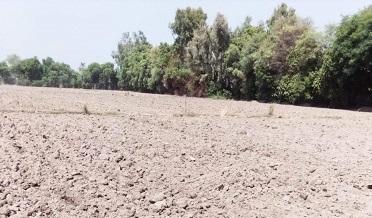 آبپاشي کاتي جي نااهلي، خانڳڙھ واهه سڪي ويا، پاڻي کوٽ