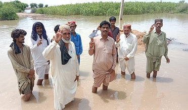 برسات سبب بي گهر ٿي ويل ، بکون ڪاٽڻ تي مجبور،انتظاميا غائب، َ احتجاج