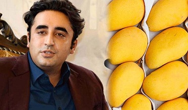 بلاول ڀٽو جي انوکي انداز ۾ انب جي تعريف
