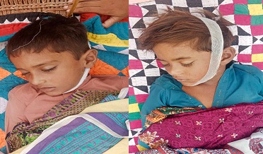 ڦل ڀرسان 2 معصوم نينگر ٻڏي فوت