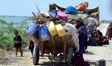 ٻوڏ متاثر صبح شام چانور کائڻ بعد بيمار ٿيڻ لڳا