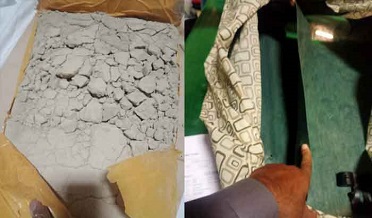 پرڏيهه  هيروئن اسمگل ڪرڻ جي ڪوشش ناڪام، جوابدار گرفتار