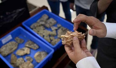 چين ۾ دنيا جو قديم ترين ڏند هٿ