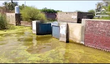 ٺري ميرواهه ٽائون ڪميٽي جي نااهلي،شهر پاڻي ۾ وڪوڙيل،احتجاج