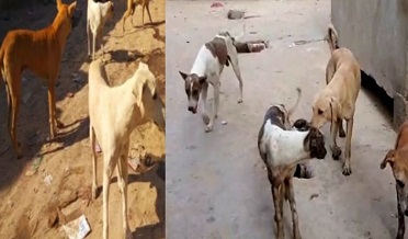 کچي برادري پاران ٻوڏ متاثرن لاءِ دوائن جي امداد