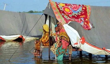 سنڌ ۾ ٻوڏ متاثر سرڪاري امداد جا منتظر