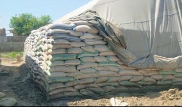 حڪومت سان غلط بياني،ڪڻڪ جون ٻورين  ۾ گبن ڪرڻ جو انڪشاپ