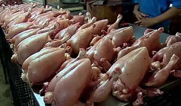 ڪوئيٽا: ڪڪڙ جو گوشت 40 رپيا مهانگو