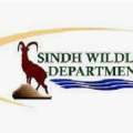 Sindh Wildlife Logo
